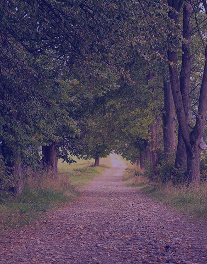 Psychotherapie für Erwachsene